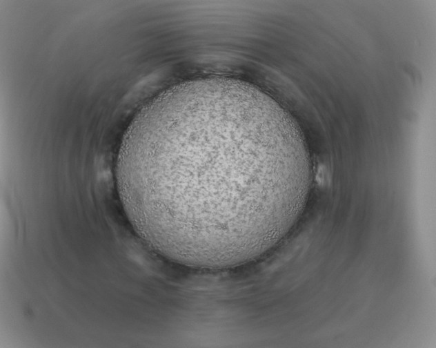 X0000115070771200911101302