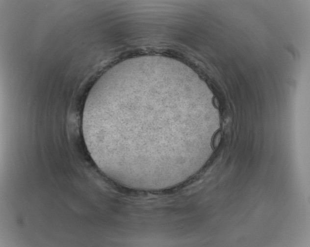 X0000115070772200911101302