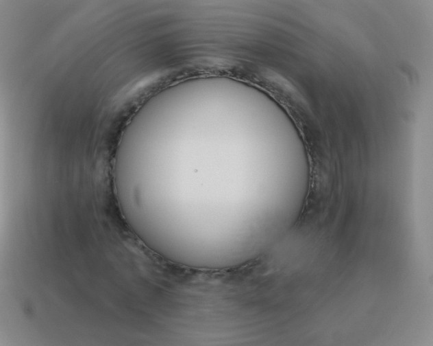 X0000115070773200911101302