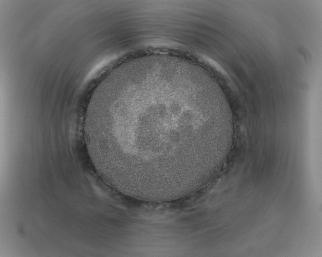 X0000115070775200911101302