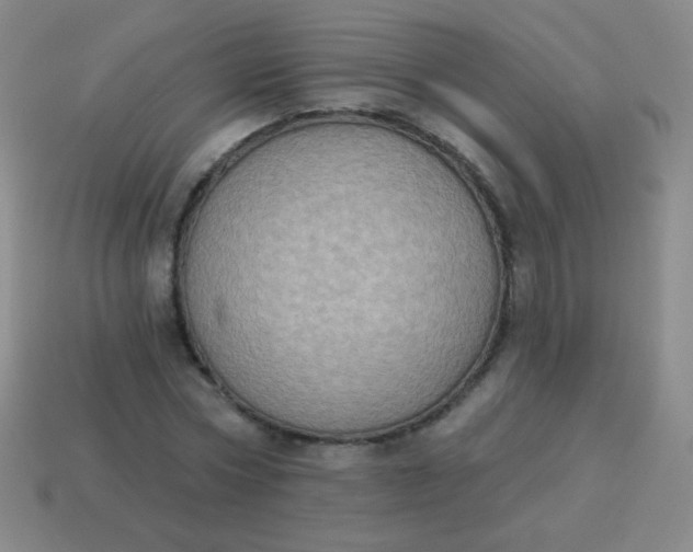 X0000115070778200911101302