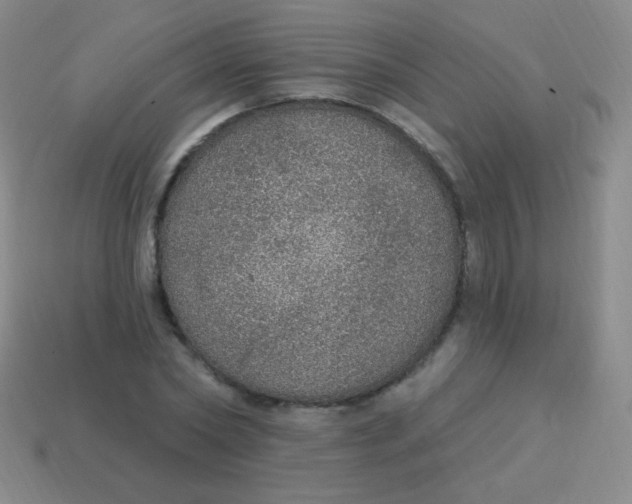 X0000115070782200911101302