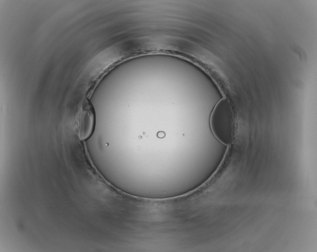 X0000115070785200911101302