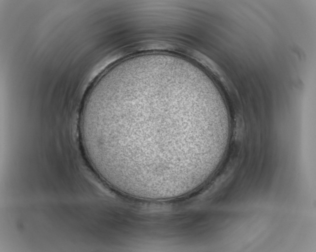 X0000115070786200911101302
