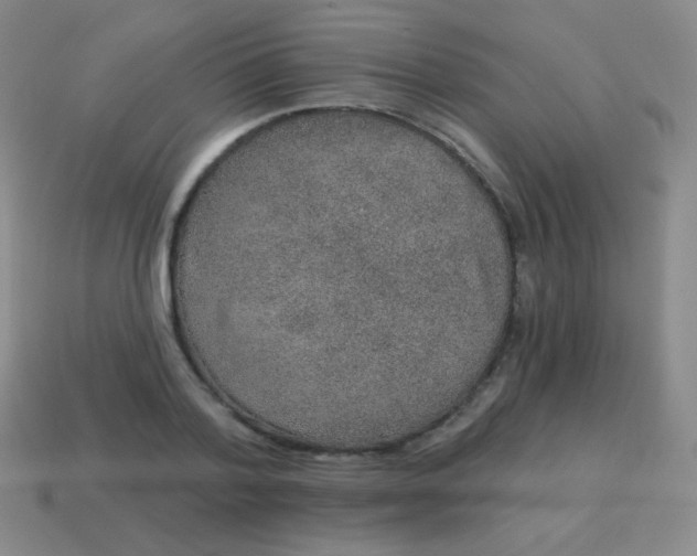 X0000115070788200911101302