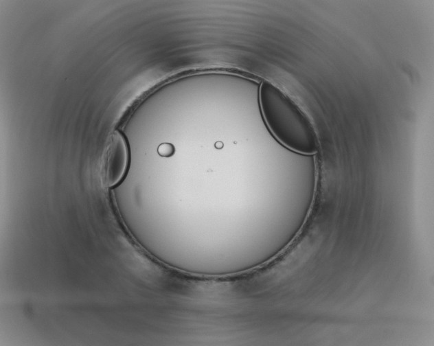 X0000115070789200911101302