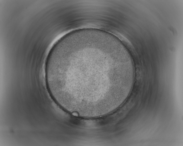 X0000115070792200911101302