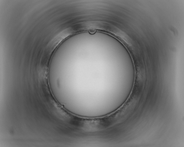 X0000115070793200911101302