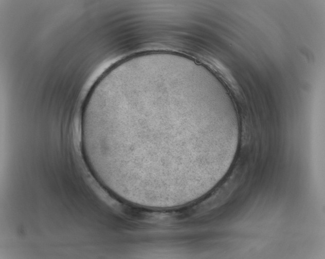 X0000115070796200911101301