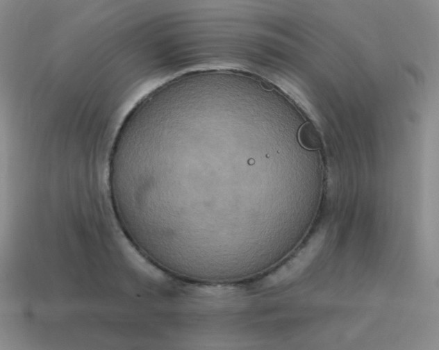 X0000115070797200911101301