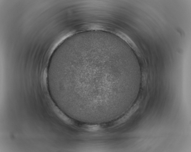 X0000115070798200911101301