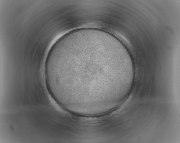 X0000115070800200911101301