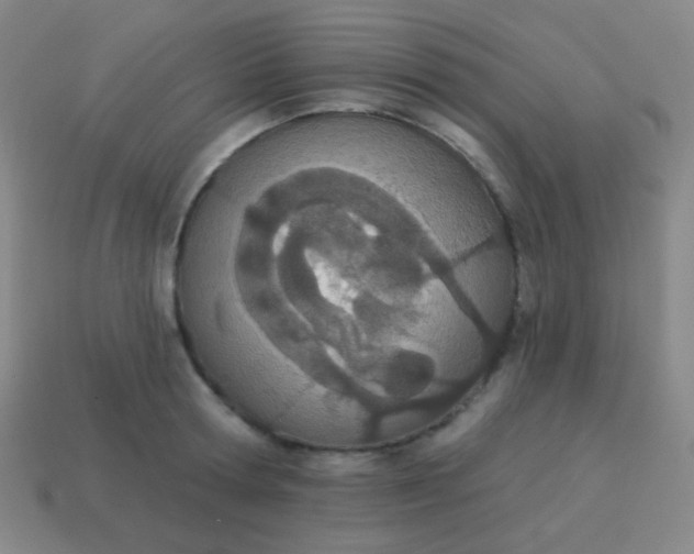 X0000115070802200911101301