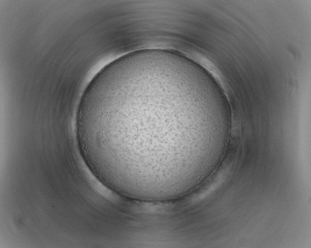 X0000115070803200911101301