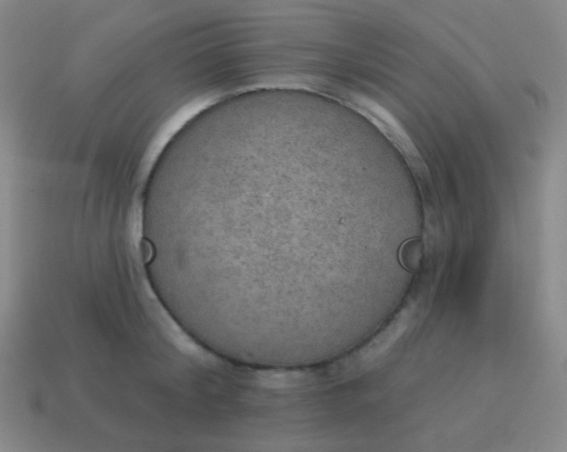 X0000115070804200911101301