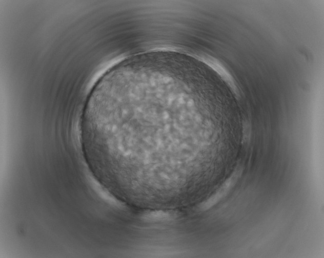 X0000115070806200911101301