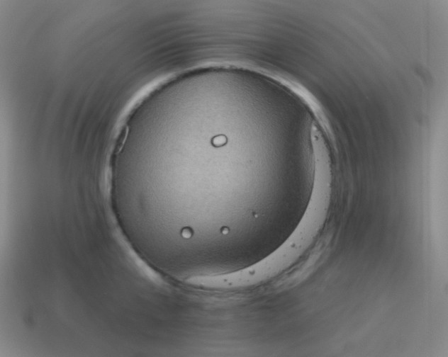 X0000115070807200911101301
