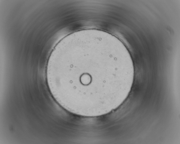 X0000115070810200911101301