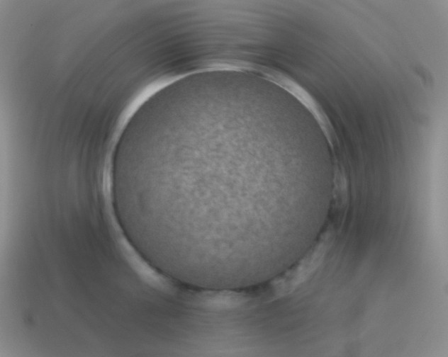 X0000115070811200911101301
