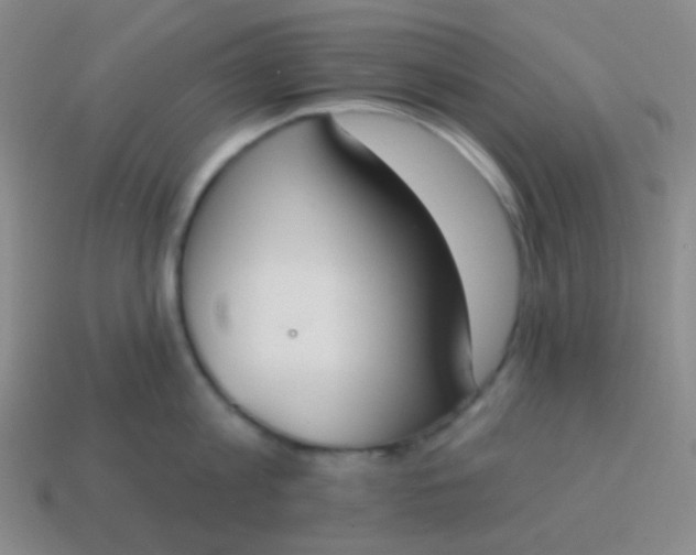 X0000115070813200911101301
