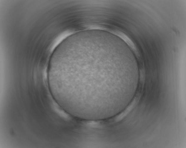 X0000115070814200911101301
