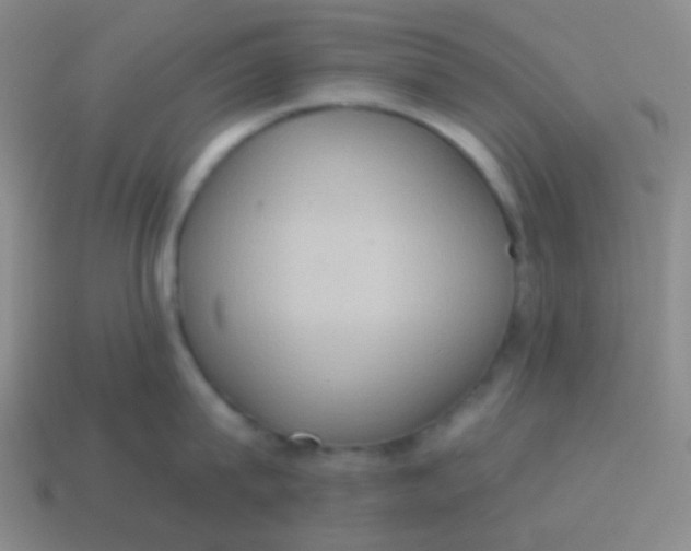X0000115070815200911101301