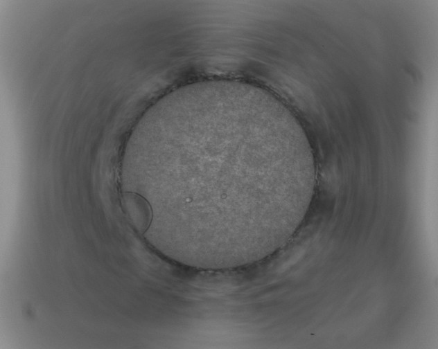 X0000115070817200911101301