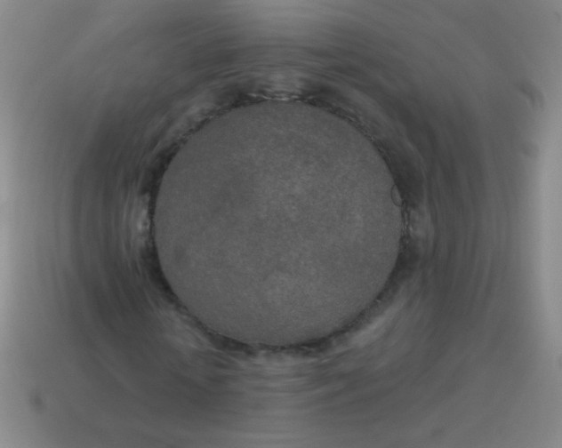 X0000115070818200911101301
