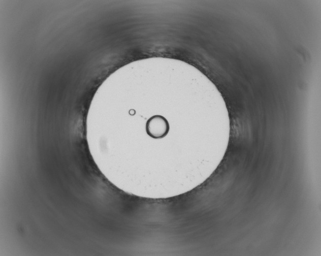 X0000115070820200911101301