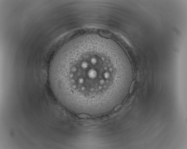 X0000115070821200911101301