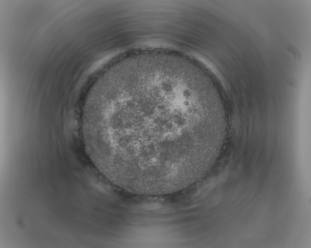 X0000115070823200911101301