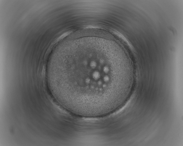 X0000115070825200911101301