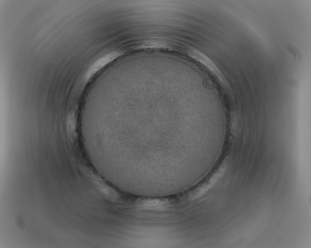 X0000115070826200911101301