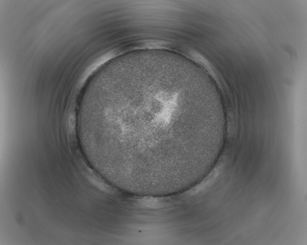 X0000115070827200911101301
