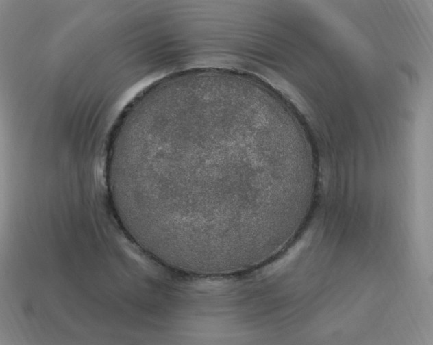 X0000115070830200911101301
