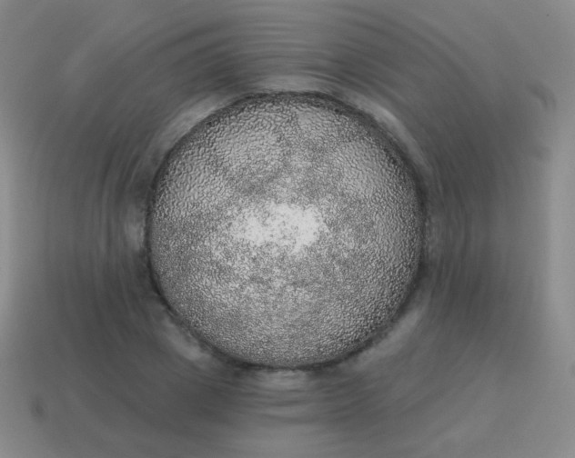 X0000115070833200911101301
