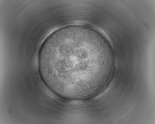 X0000115070835200911101301