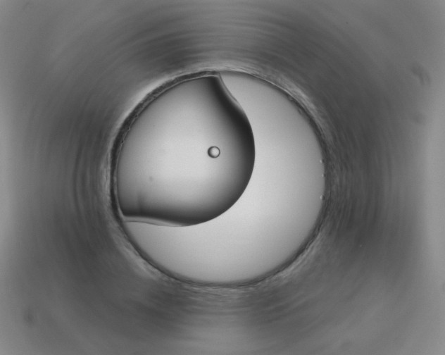 X0000115070836200911101301