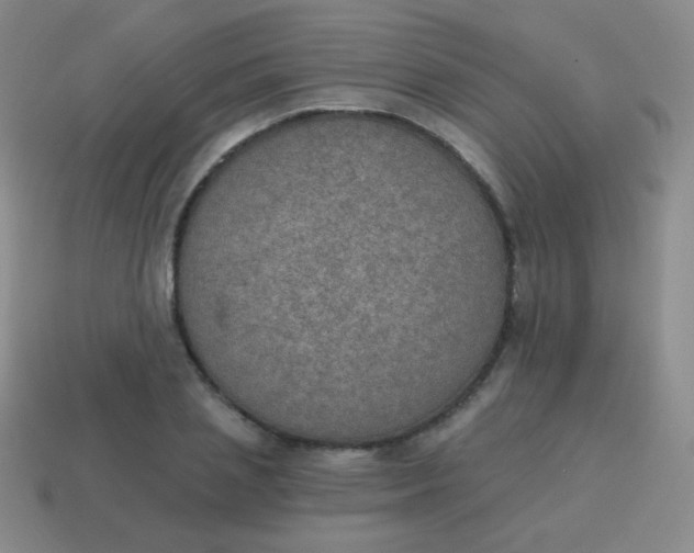 X0000115070837200911101301