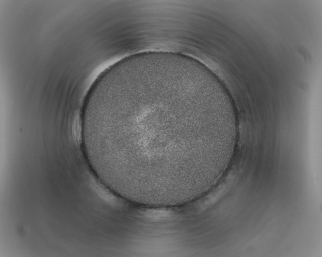 X0000115070838200911101301