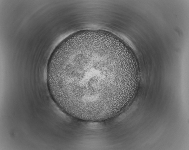 X0000115070839200911101301