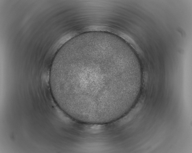 X0000115070841200911101301
