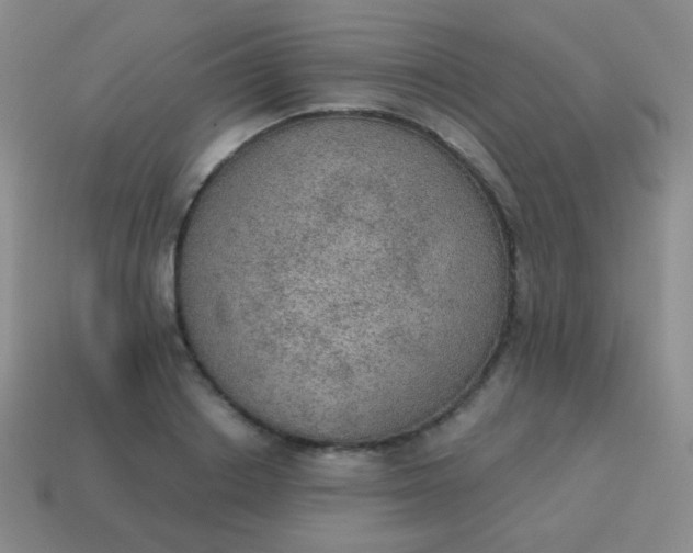 X0000115070842200911101301