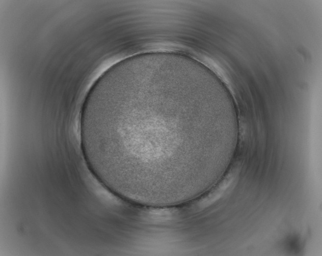 X0000115070843200911101301