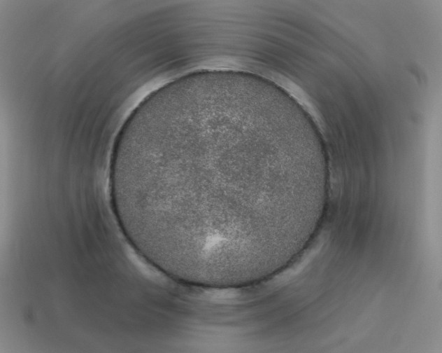 X0000115070845200911101301
