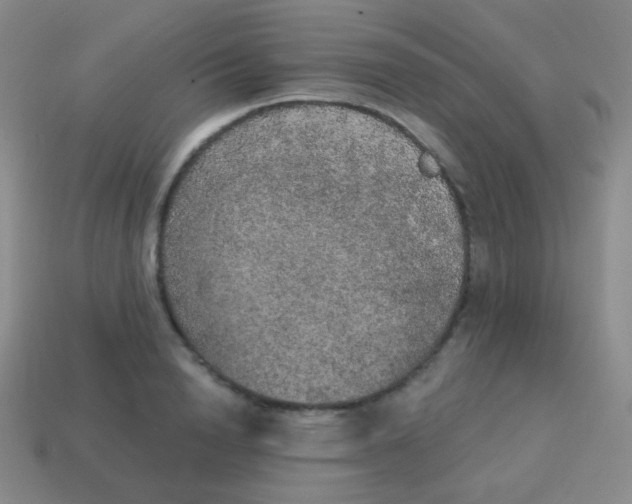 X0000115070846200911101301
