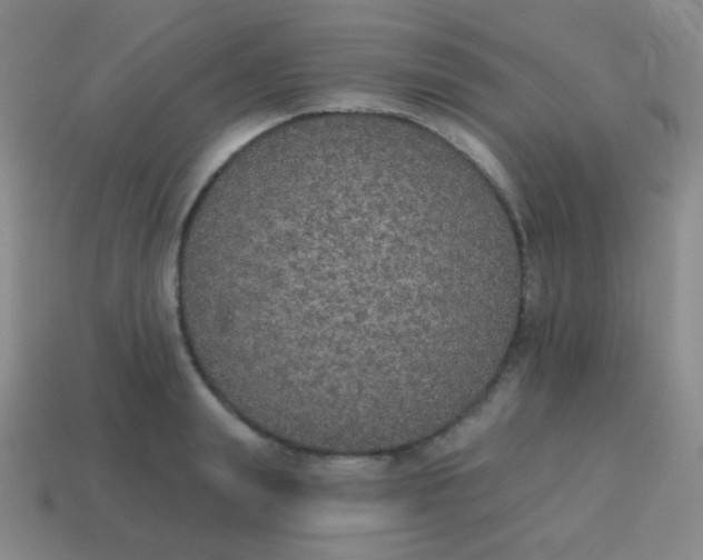 X0000115070847200911101301
