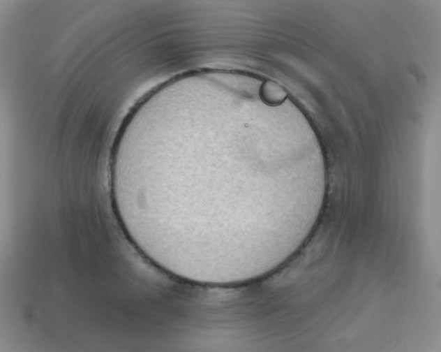 X0000115070848200911101301