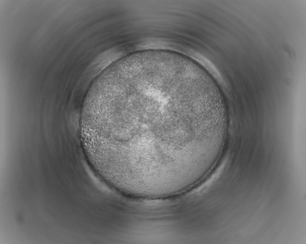 X0000115070849200911101301