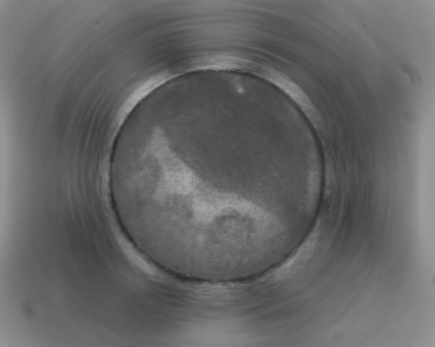 X0000115070850200911101301